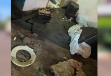 En un allanamiento rescatan a menor desaparecida desde inicios del año