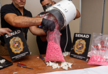Senad frustra ingreso de casi 8.000 dosis de éxtasis, ocultas en un termocalefón