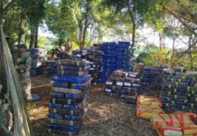 Incautación récord de 57 toneladas de marihuana en operativo conjunto entre Senad y FTC