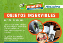 Dengue: Búsqueda e inactivación de criaderos deben ser una constante