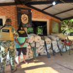 Durante un operativo en Colonia Maracaná, SENAD incautó más de 7 toneladas de droga