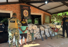 Durante un operativo en Colonia Maracaná, SENAD incautó más de 7 toneladas de droga