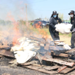 Senad incineró 456 kilos de cocaína valorizada en USD 13 millones