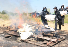 Senad incineró 456 kilos de cocaína valorizada en USD 13 millones