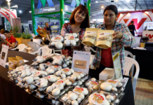 Ley de mipymes contribuirá a desarrollar el potencial del negocio formal, destacan