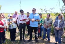22 empresas interesadas en la construcción de hospitales en Concepción y Curuguaty