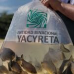 Entidad Binacional Yacyretá Entregará Alevines en Carmen del Paraná para Fortalecer la Economía Local