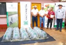 YACYRETÁ PROSIGUE CON ENTREGA DE ALEVINES EN ITAPÚA