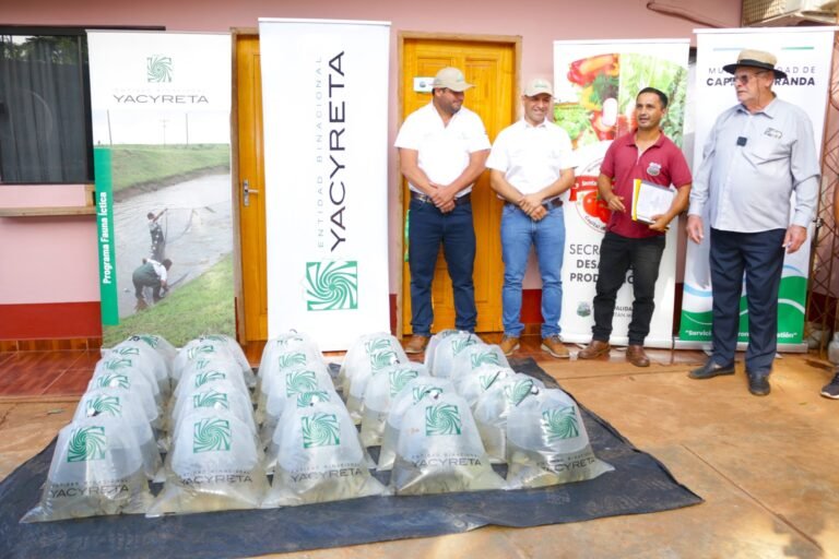 YACYRETÁ PROSIGUE CON ENTREGA DE ALEVINES EN ITAPÚA