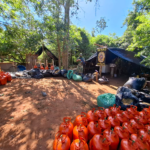 Desmantelan uno de los mayores complejos de procesamiento de marihuana en Amambay