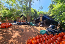 Desmantelan uno de los mayores complejos de procesamiento de marihuana en Amambay