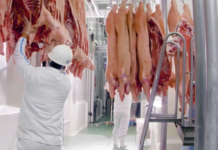 Exportación de carne porcina a Taiwán con crecimiento del 108%