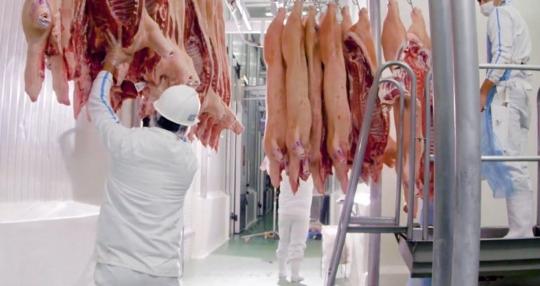 Exportación de carne porcina a Taiwán con crecimiento del 108%