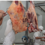 Aranceles de EE.UU. beneficiarían a Paraguay: 121 productos podrían ser exportados