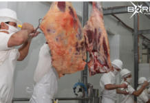 Aranceles de EE.UU. beneficiarían a Paraguay: 121 productos podrían ser exportados