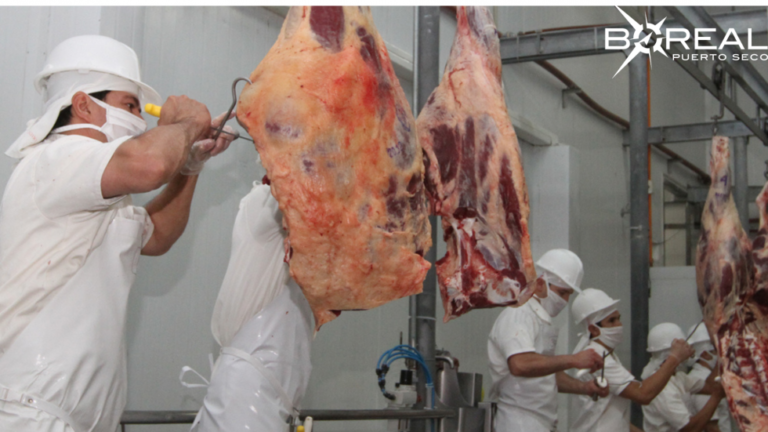Aranceles de EE.UU. beneficiarían a Paraguay: 121 productos podrían ser exportados 