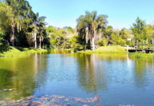 Más de 100.000 aficionados se prepararían para acampar en Itapúa por el WRC