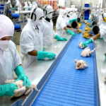 Envíos de productos avícolas aumentaron 22 % en el primer bimestre