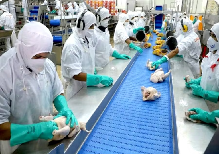 Envíos de productos avícolas aumentaron 22 % en el primer bimestre