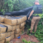 Asestan pérdida de USD 300.000 con casi 2 toneladas de marihuana incautadas en San Pedro