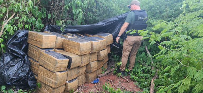 Asestan pérdida de USD 300.000 con casi 2 toneladas de marihuana incautadas en San Pedro Asestan pérdida de USD 300.000 con casi 2 toneladas de marihuana incautadas en San Pedro