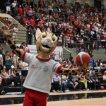 Ejecutivo conforma comisión para organización de grandes eventos deportivos