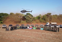 «Nueva Alianza 48»: estiman pérdida de USD 26 millones a organizaciones criminales