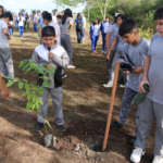 Los colores de la naturaleza serán nuevos atractivos de Pilar