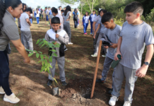 Los colores de la naturaleza serán nuevos atractivos de Pilar
