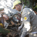 Dengue: Salud reporta aumento de casos y pide intensificar eliminación de criaderos