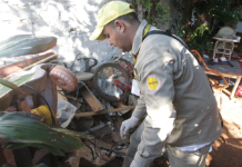 Dengue: Salud reporta aumento de casos y pide intensificar eliminación de criaderos
