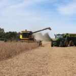 Diversificación económica es la clave de Paraguay para evitar caídas, señalan