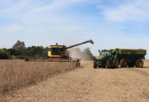 Diversificación económica es la clave de Paraguay para evitar caídas, señalan