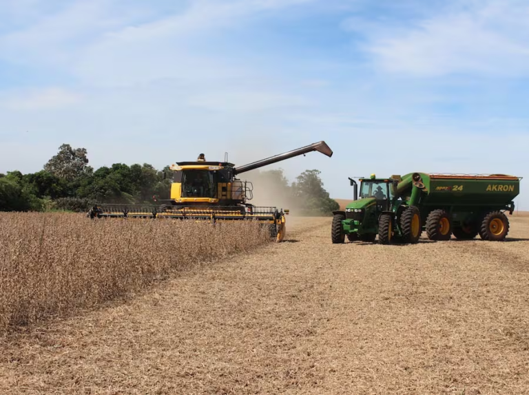 Diversificación económica es la clave de Paraguay para evitar caídas, señalan