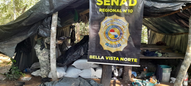 Senad elimina más de 80 toneladas de droga en Canindeyú y Amambay