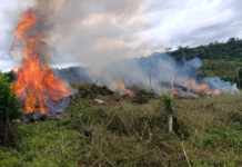 Golpe al narcotráfico: erradican 89 ha de cultivos ilícitos, equivalentes a más de 120 estadios de fútbol