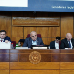 Titular del Congreso condena racismo contra delegación de Cerro Porteño en Brasil