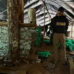 Golpe de USD 3 millones al crimen organizado con desarticulación de mega base narco en Canindeyú