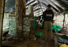 Golpe de USD 3 millones al crimen organizado con desarticulación de mega base narco en Canindeyú