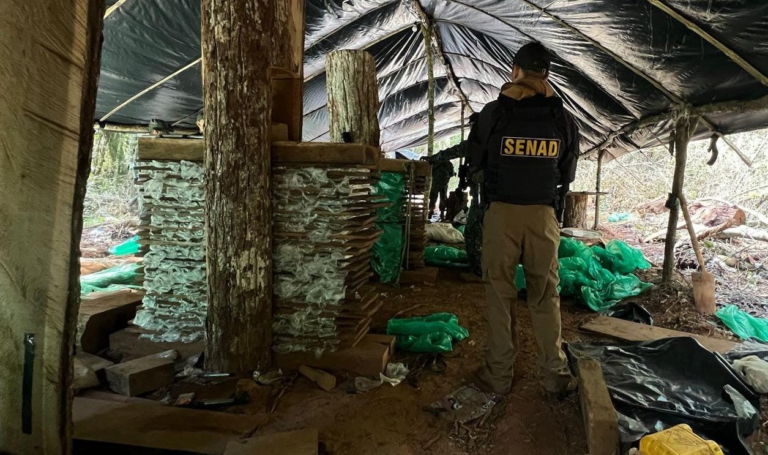 Golpe de USD 3 millones al crimen organizado con desarticulación de mega base narco en Canindeyú