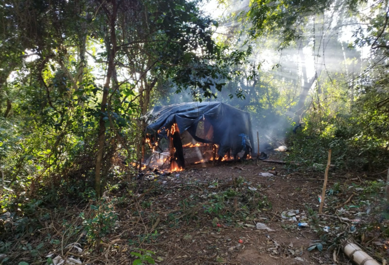 Desmantelan estructuras narco y eliminan 10.000 kilos de marihuana de Reserva del Mbaracayú