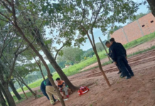 Itapúa: amputan dedo a joven con trastorno mental que agredió a una mujer