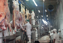 Sector cárnico de Paraguay se prepara para auditorías sanitarias de EE.UU. y Japón