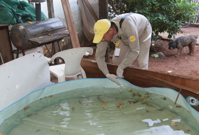 Salud Pública registra unas 555 notificaciones de dengue por semana