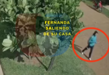 Aparecen nuevas imágenes de Fernanda junto al presunto autor