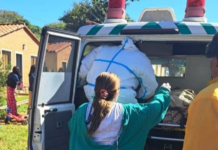 Respuesta oportuna en parto beneficia a madre y recién nacido de comunidad Maká