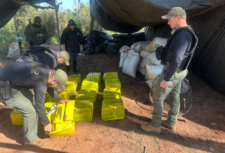Eliminan campamentos narcos y casi 600 kilos de marihuana en zona rural de Concepción Eliminan campamentos narcos y casi 600 kilos de marihuana en zona rural de Concepción