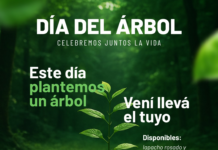 EBY obsequiará plantines en la Plaza de la Democracia