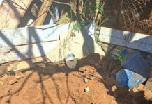 Hombre confesó que asesinó a su pareja y la enterró en el patio de la casa