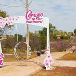 Declaran al distrito de La Paz como «Capital Nacional del Cerezo en Flor – Sakura»